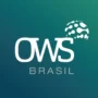 ows brasil